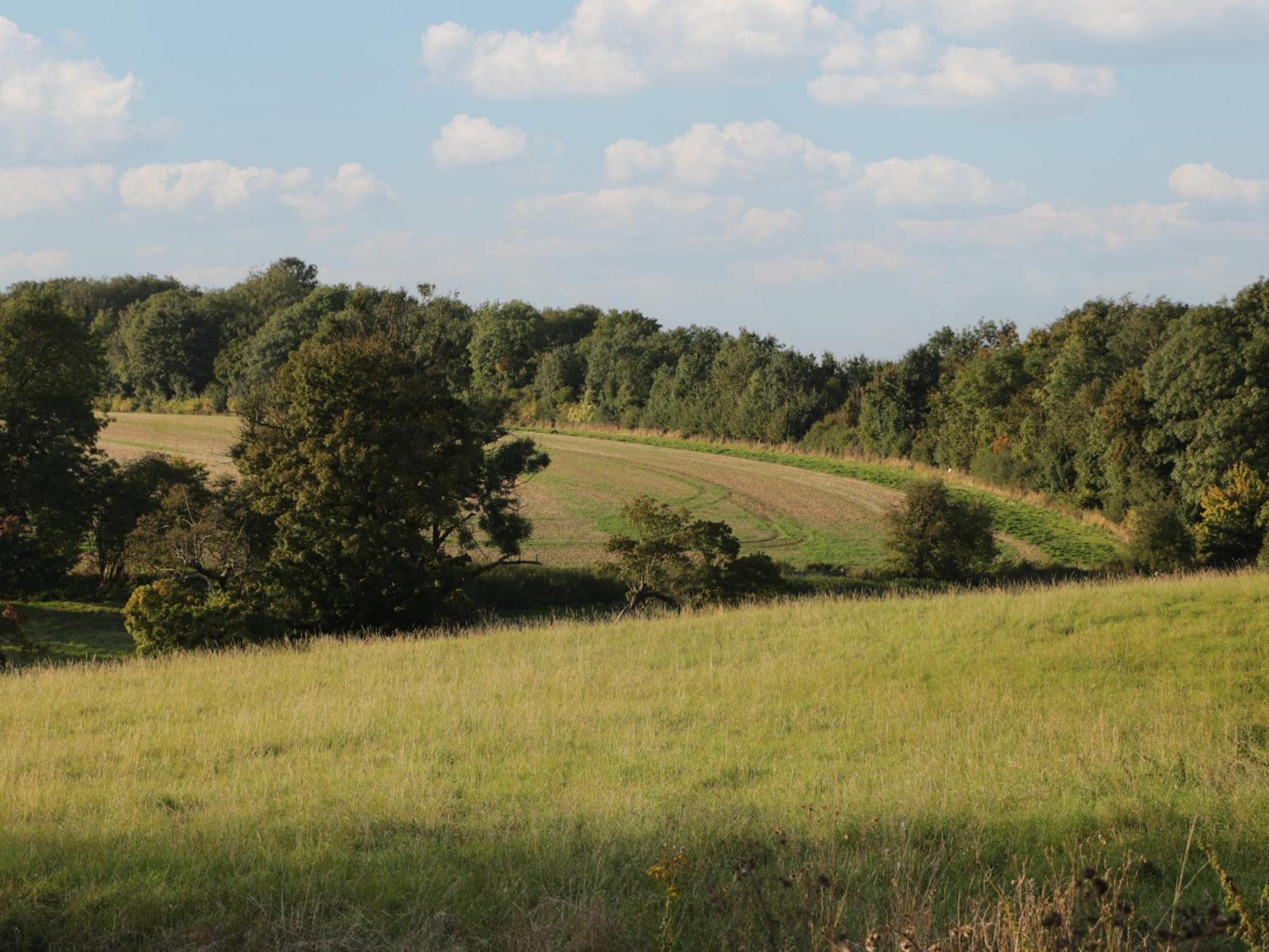 Hazel Villa Cirencester Buitenkant foto